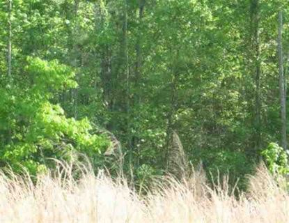 Lot 1-A Clearview Drive Lake Secession sold home in Clearview, Abbeville, SC