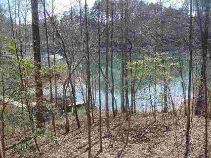 Lot 107 Cedar Creek