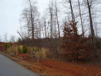 40 Lots Willow Creek Subdivision
