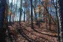 Lot 4 Four Pointes Whisper Lane sold home in Salem, SC