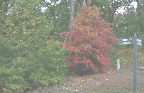 308 Hatteras Ridge Lot 10 Hatteras Ridge