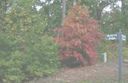 308 Hatteras Ridge Lot 10 Hatteras Ridge sold home in Six Mile, SC