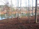 708 Cypress Bay Lane Lot 32 Wellington Pointe sold home in West Union, SC