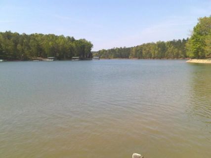 15043 Danube Circle Lot 29 Saxony Forest