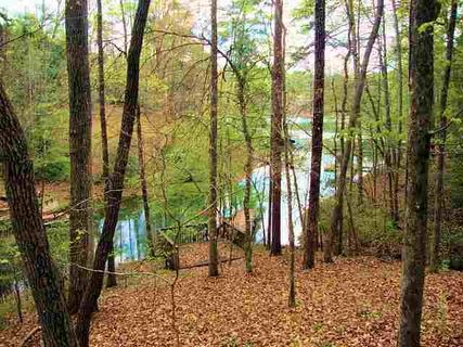 Lots 19&20 Cedar Creek