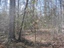 Lot 6B Brookside Drive sold home in Honea Path, SC