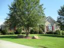 110 Carolina Cup sold home in Belton, SC