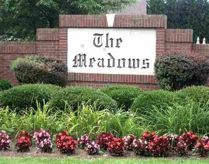 Lot 76A Dandelion Trail The Meadows Subdivision