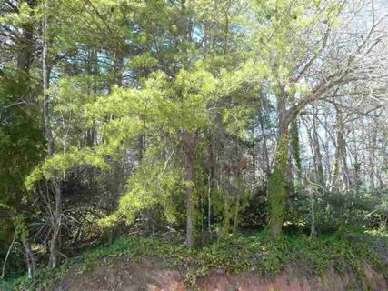 Lot 13 Cherry Road