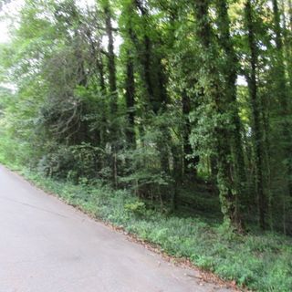 113 Valley View Drive
