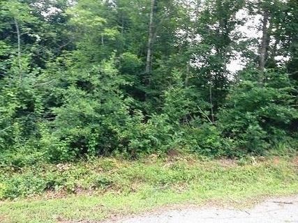Lot 21 Horseshoe Bend