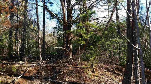 130 Estella Lane sold home in Foxfire, Central, SC