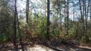 125 Estella Lane sold home in Central, SC