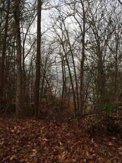 0 Horseshoe Bend Lot 6