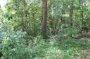 423 Douglas Drive sold home in Seneca, SC