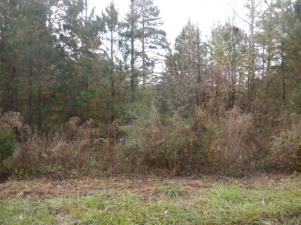Lot 3 & 4 Maret Road sold home in Horse Shoe Bay, Townville, SC