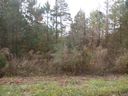 Lot 3 & 4 Maret Road sold home in Townville, SC