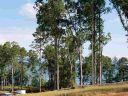 Lot 34 Marina Bay sold home in Seneca, SC