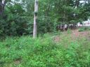 306 Douglas Drive sold home in Seneca, SC