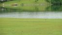 2 Little Loop Fiddlers Cove sold home in Tamassee, SC