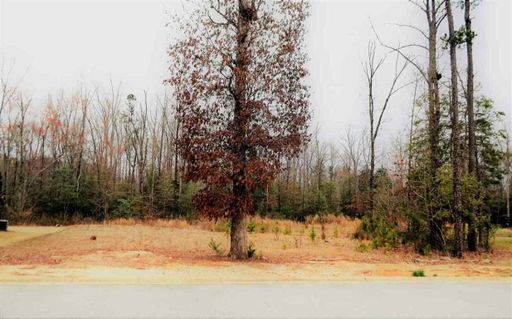 176 Carolina Oaks Drive