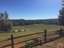 225 Whetstone Mountain Road sold home in Mountain Rest, SC
