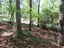 175 Cherokee Hills Drive sold home in Pickens, SC