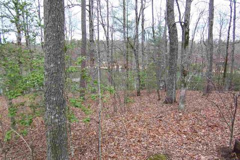 000 W Cove Road