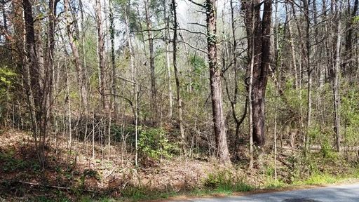 Lot 141 Delphi Drive