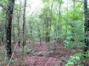 366 Calhoun Forest Drive sold home in Abbeville, SC