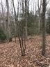 Lots 10, 11, 12 Country Glen Lane sold home in Pelzer, SC