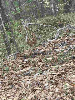 Lot 4 Saluda Road
