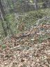 Lot 4 Saluda Road sold home in Williamston, SC