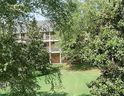 250 Elm Street 123 (A203) sold home in Clemson, SC