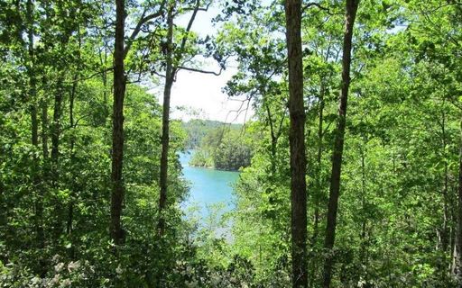 416 Old Shallowford Bridge Road Lot 86