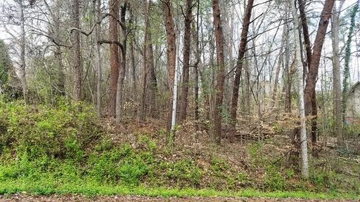 Lot 139 Delphi Drive