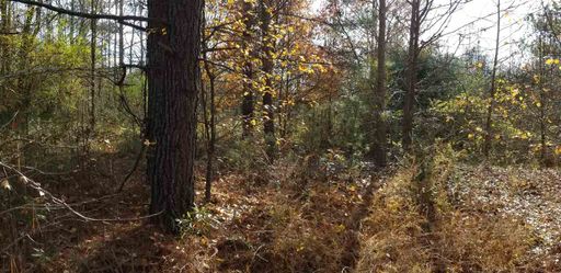 118 Cool Springs Drive sold home in High Creek Acres, Anderson, SC