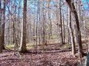 160 Julie Way sold home in Pickens, SC