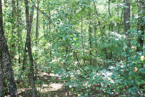 1426 Hunters Trail
