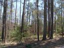 Lot 10 Regent Road sold home in Anderson, SC