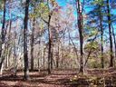 211 Serenity Drive sold home in Pickens, SC