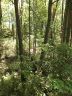 Lot 18 Brookvale Drive sold home in Williamston, SC