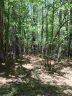 Lot 21 A Brookvale Drive sold home in Williamston, SC