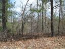 Lot 1 Osheal Drive sold home in Tamassee, SC