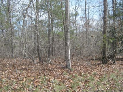 Lot 3,4,5,6,7 Osheal Drive