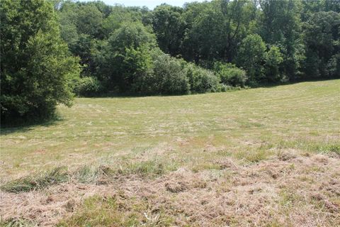 228 Dandelion Trail