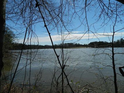 100 Willowbend Drive sold home in Chasewater, Anderson, SC
