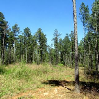 00 Henry Thomas Road sold home in No Subdivision, Belton, SC