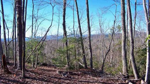 110 Cliffside Trail