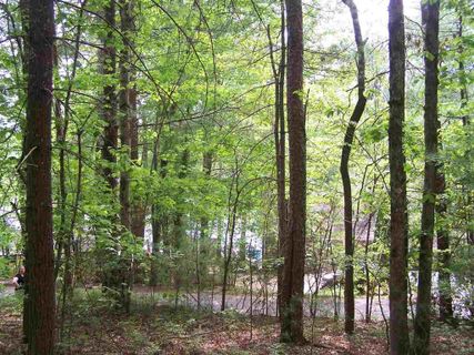 Lot 82 Wren Road